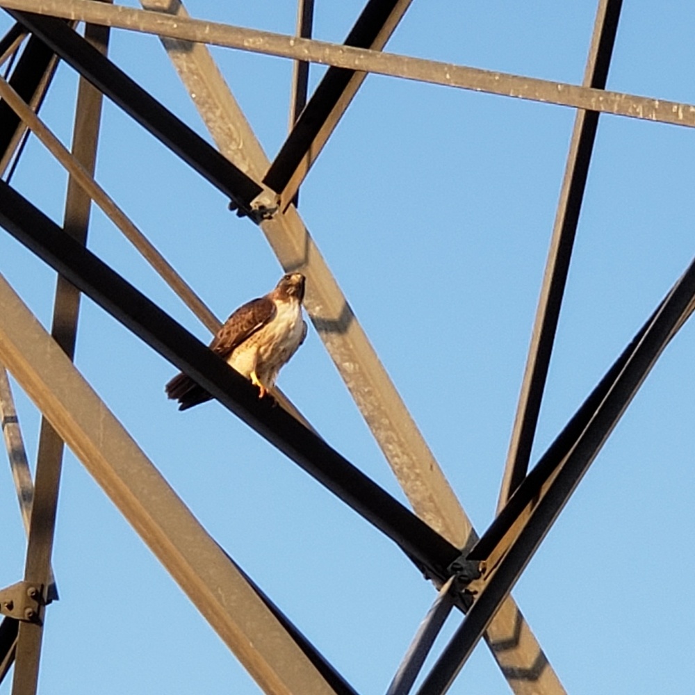 Meet your Posher, Esteban